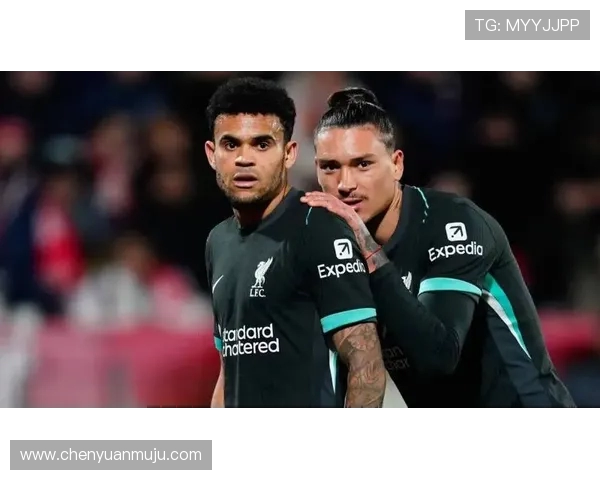 英超球队股东:英超球队的股东结构与商业投资 英超球队股东:英超球队的股东结构与商业投资