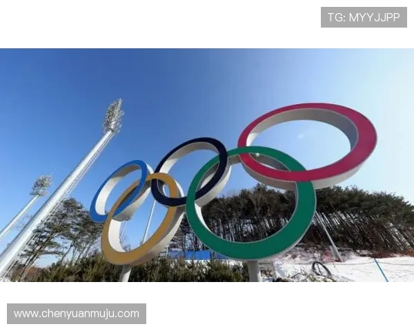 足球运动的文化影响力与社会价值分析