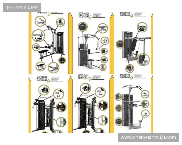 锻炼型健身自行车器材分类与功能