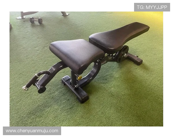 高龄人群室内健身设备科学搭配方案