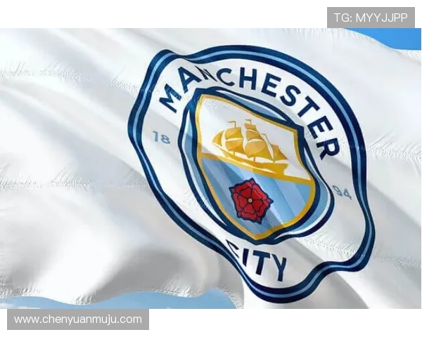 德甲球队队徽从创队至今的历史变化记录