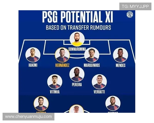 法甲赛季伤病影响及恢复情况统计