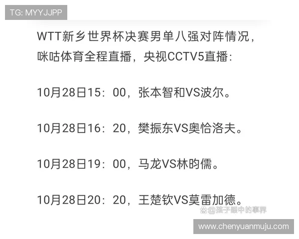 WTT世界杯赛程安排与精彩赛事回顾