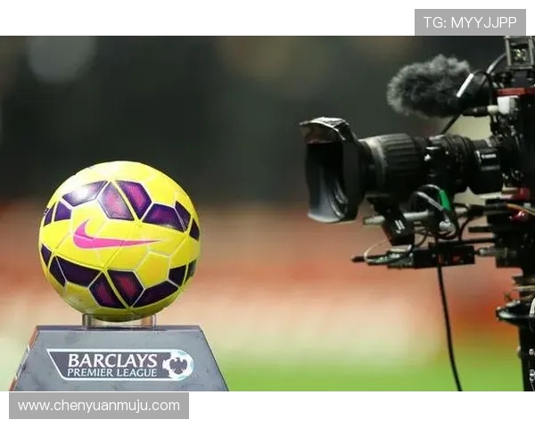 英超球员的纳税比例及对俱乐部支出影响研究