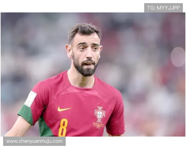 阿根廷球员在英超的影响力及代表人物介绍